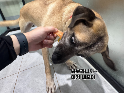 슬라이드 이미지