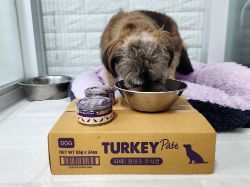 슬라이드 이미지