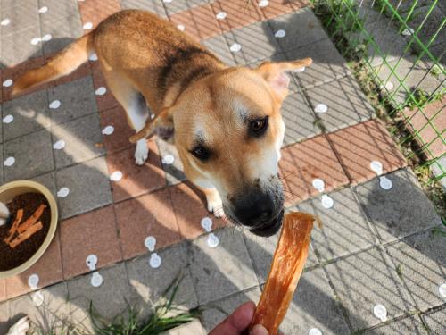 슬라이드 이미지