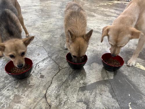 슬라이드 이미지