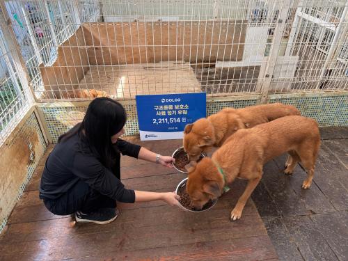 슬라이드 이미지