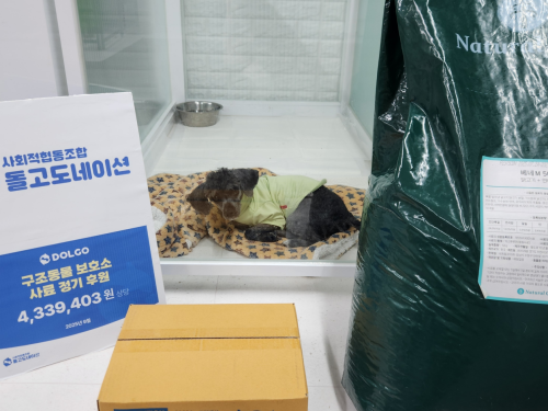 슬라이드 이미지