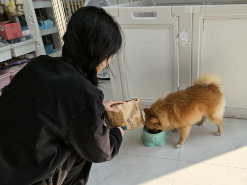 슬라이드 이미지