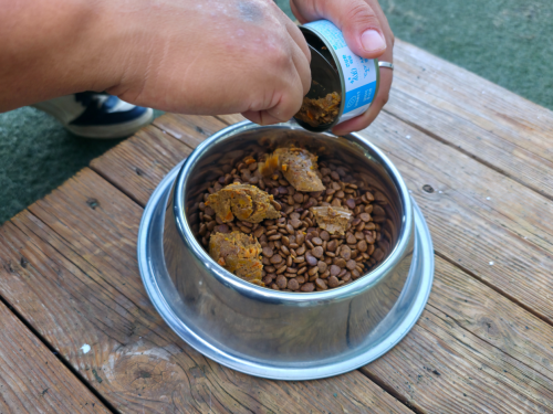 슬라이드 이미지