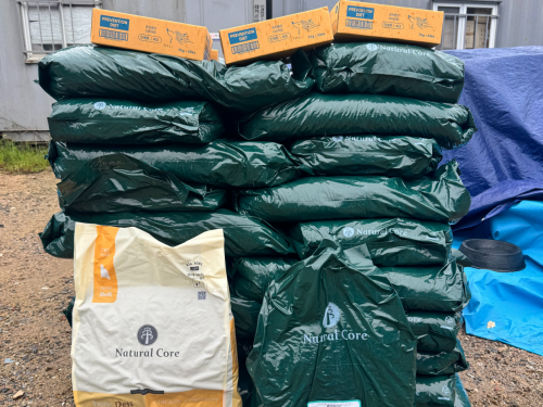 슬라이드 이미지