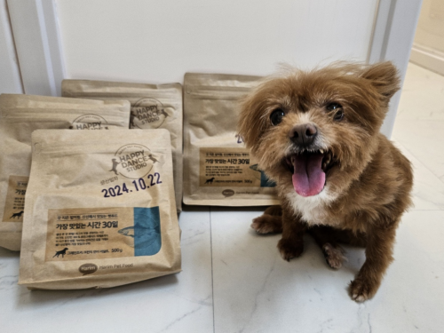 슬라이드 이미지