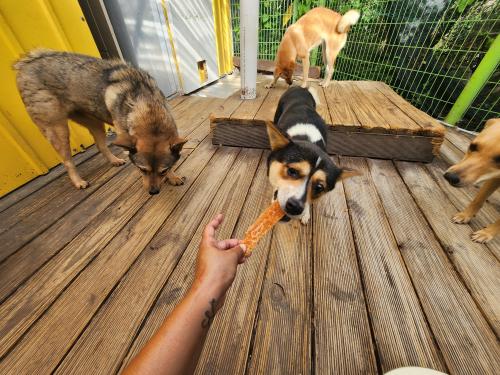 슬라이드 이미지