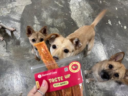 슬라이드 이미지