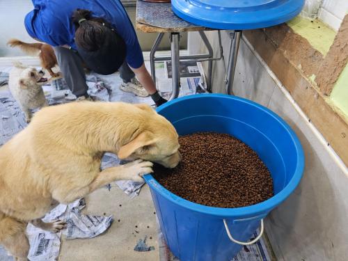 슬라이드 이미지