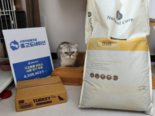 슬라이드 이미지