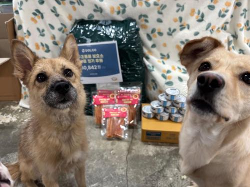 슬라이드 이미지