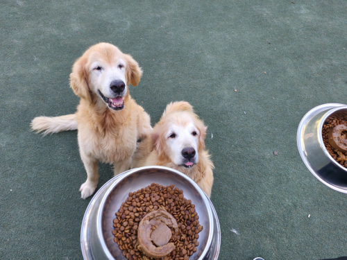 슬라이드 이미지