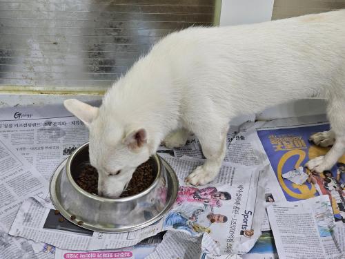 슬라이드 이미지