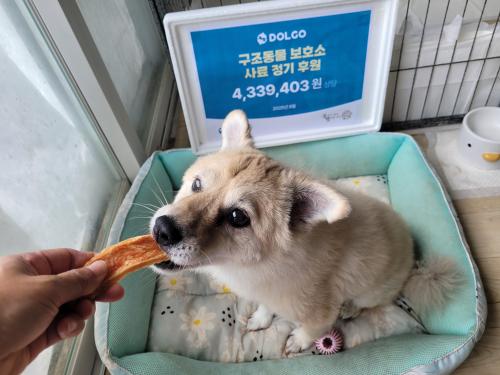 슬라이드 이미지