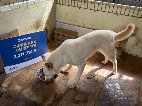 슬라이드 이미지