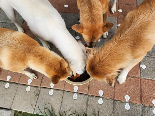 슬라이드 이미지