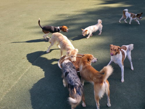 슬라이드 이미지