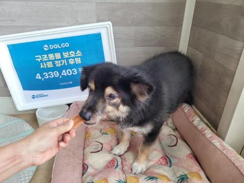 슬라이드 이미지