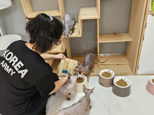 슬라이드 이미지