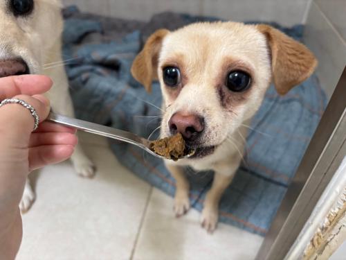 슬라이드 이미지