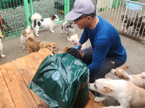 슬라이드 이미지