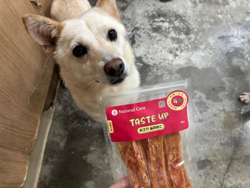 슬라이드 이미지