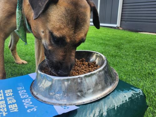 슬라이드 이미지