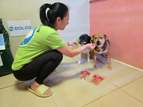 슬라이드 이미지