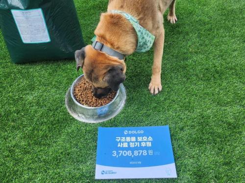 슬라이드 이미지