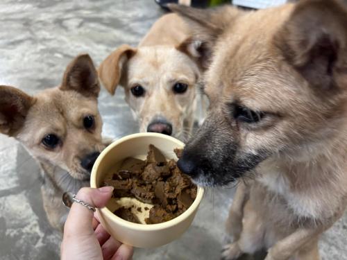 슬라이드 이미지