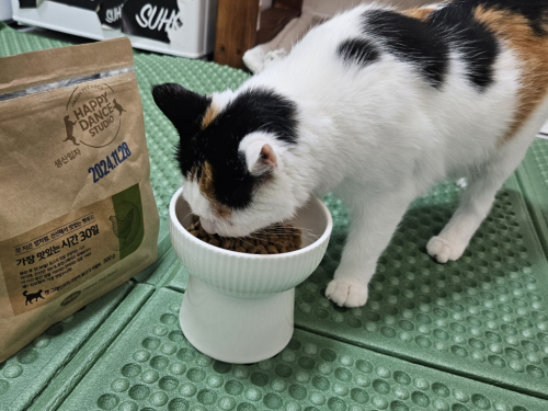 슬라이드 이미지