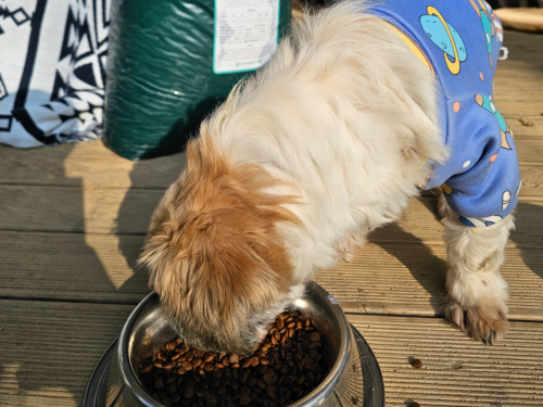 슬라이드 이미지