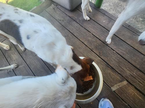 슬라이드 이미지