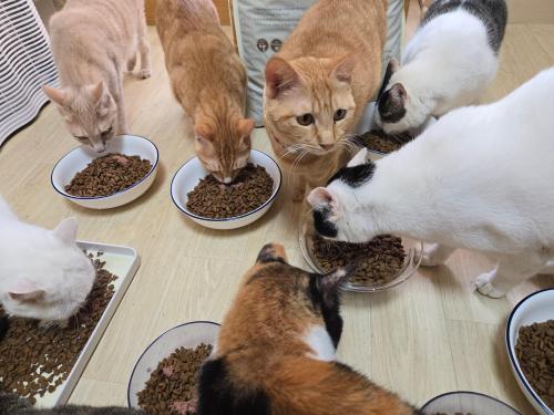 슬라이드 이미지