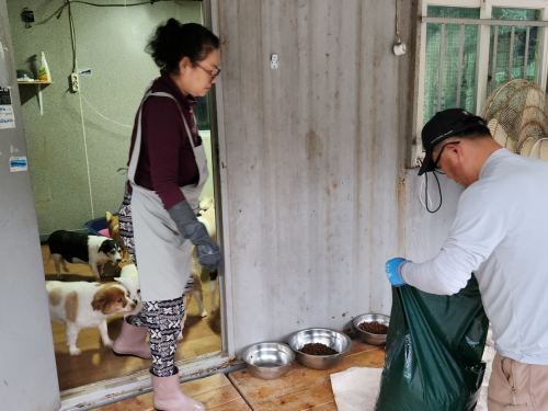 슬라이드 이미지