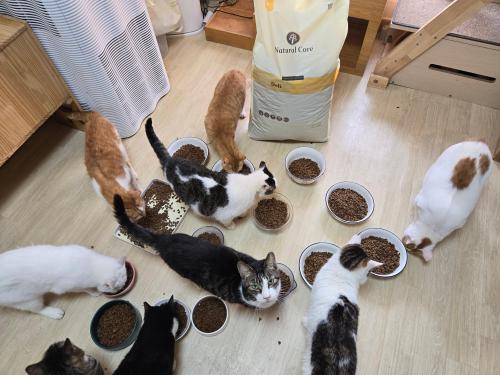 슬라이드 이미지