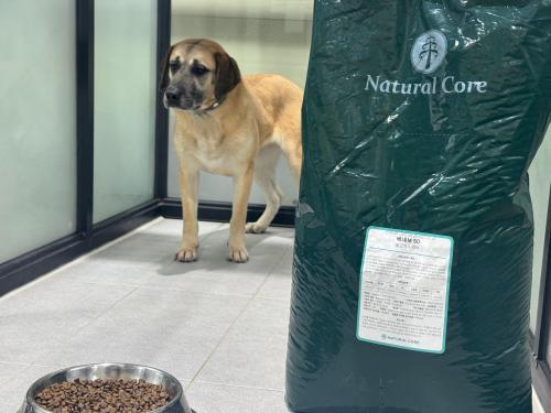 슬라이드 이미지