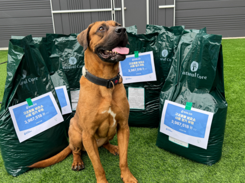 슬라이드 이미지