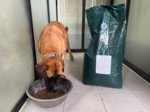 슬라이드 이미지