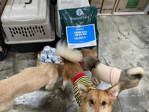 슬라이드 이미지