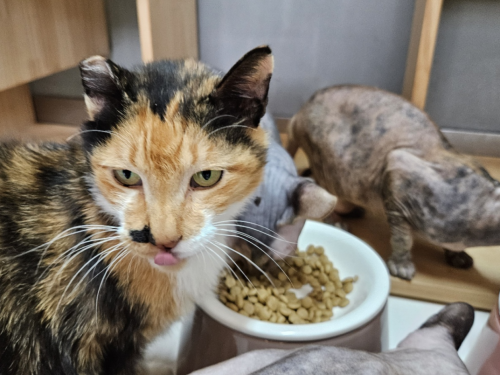 슬라이드 이미지