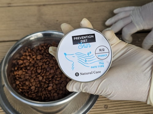 슬라이드 이미지