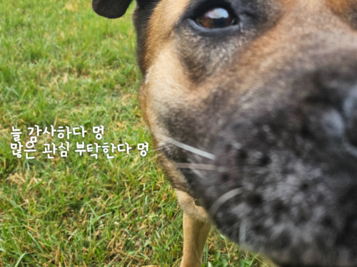 슬라이드 이미지