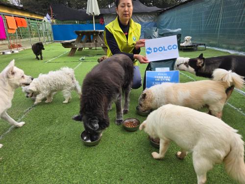 슬라이드 이미지