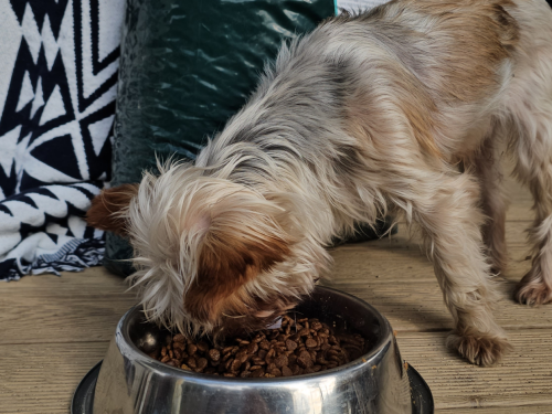 슬라이드 이미지