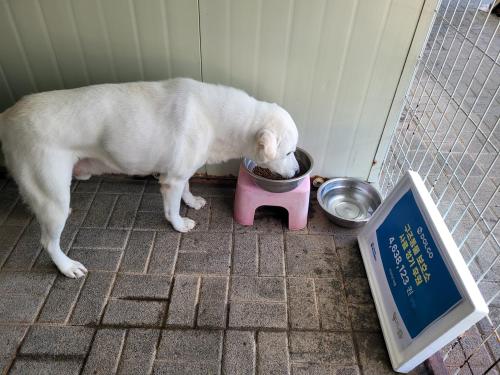 슬라이드 이미지