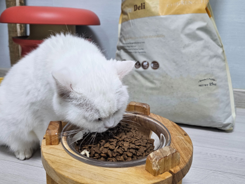 슬라이드 이미지