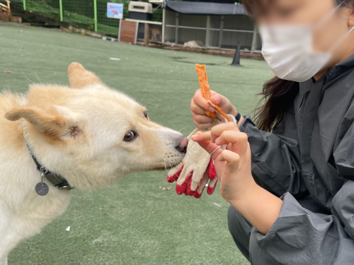 슬라이드 이미지