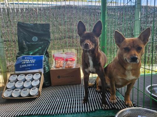 슬라이드 이미지