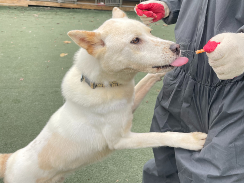 슬라이드 이미지